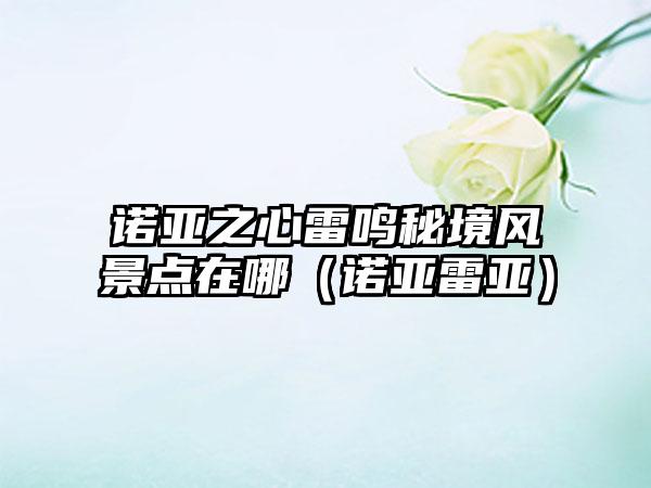 诺亚之心雷鸣秘境风景点在哪（诺亚雷亚）