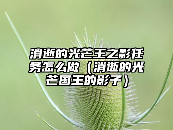 消逝的光芒王之影任务怎么做（消逝的光芒国王的影子）