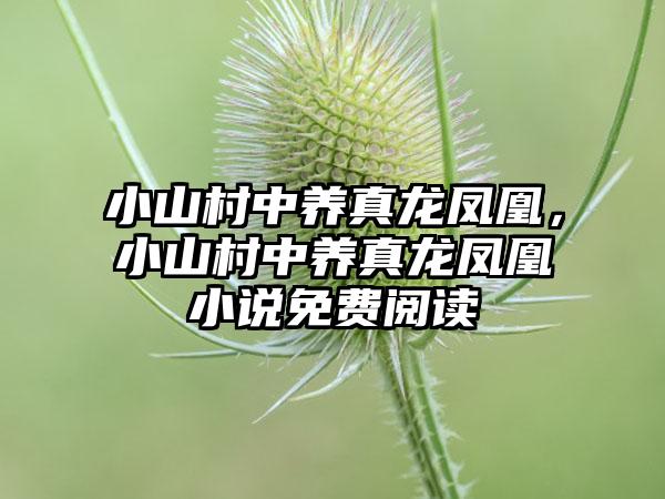 小山村中养真龙凤凰，小山村中养真龙凤凰小说免费阅读