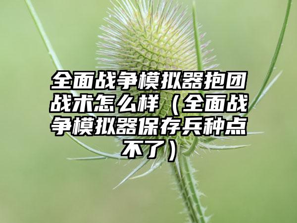 全面战争模拟器抱团战术怎么样（全面战争模拟器保存兵种点不了）