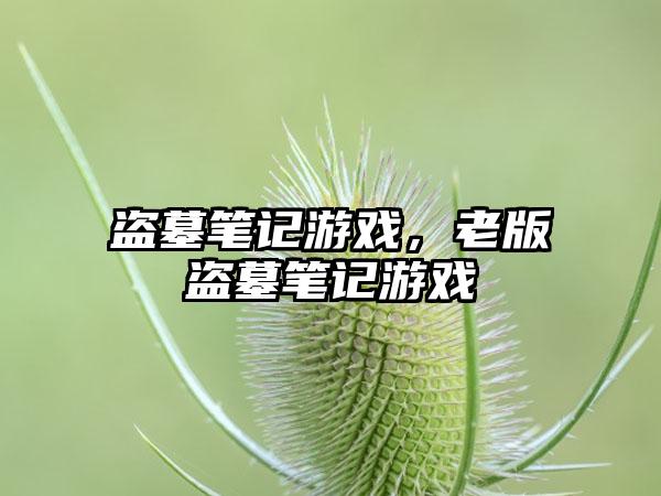 盗墓笔记游戏，老版盗墓笔记游戏