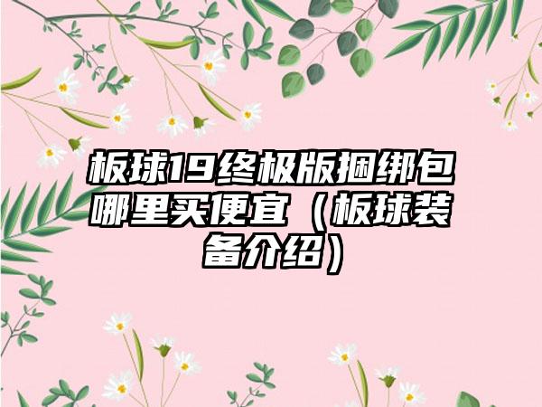 板球19终极版捆绑包哪里买便宜（板球装备介绍）