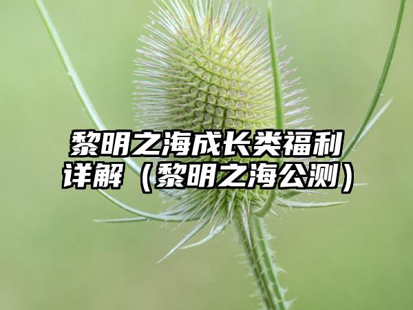 黎明之海成长类福利详解（黎明之海公测）