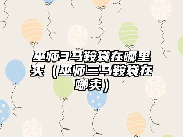 巫师3马鞍袋在哪里买（巫师三马鞍袋在哪卖）