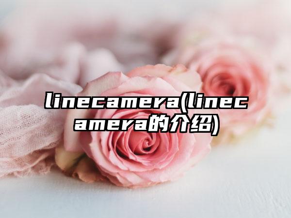 linecamera(linecamera的介绍)