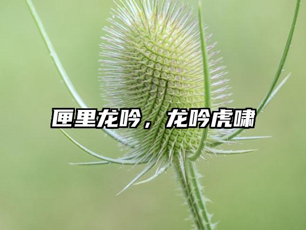 匣里龙吟，龙吟虎啸