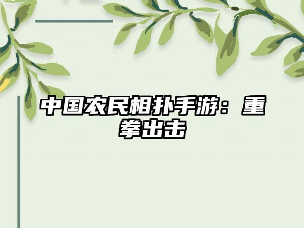中国农民相扑手游：重拳出击