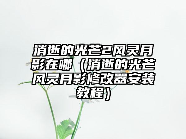 消逝的光芒2风灵月影在哪（消逝的光芒风灵月影修改器安装教程）