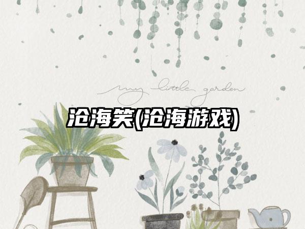 沧海笑(沧海游戏)