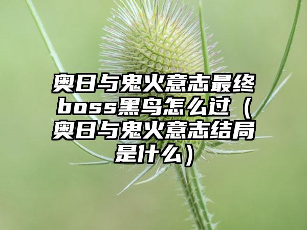 奥日与鬼火意志最终boss黑鸟怎么过（奥日与鬼火意志结局是什么）