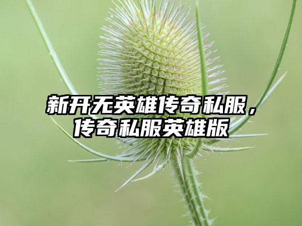 新开无英雄传奇私服，传奇私服英雄版