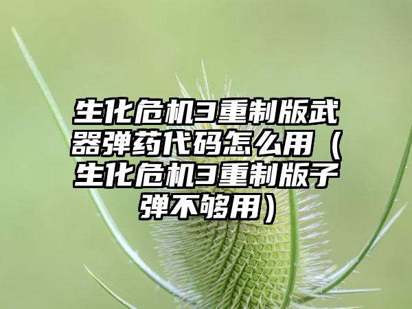 生化危机3重制版武器弹药代码怎么用（生化危机3重制版子弹不够用）