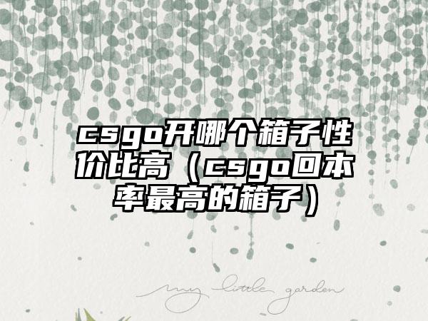 csgo开哪个箱子性价比高（csgo回本率最高的箱子）