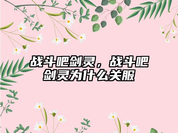 战斗吧剑灵，战斗吧剑灵为什么关服