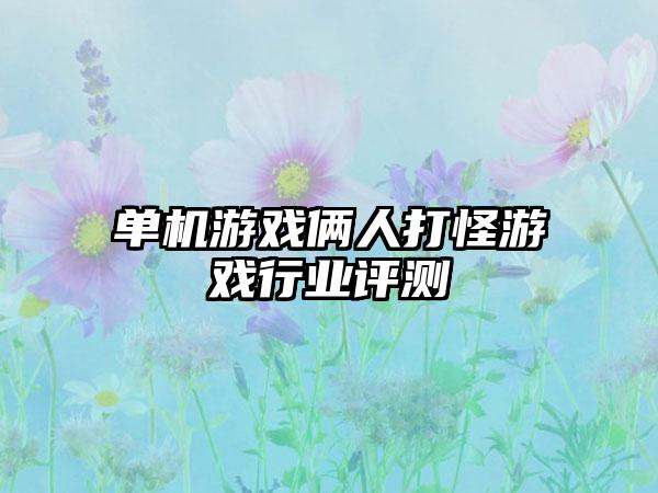 单机游戏俩人打怪游戏行业评测
