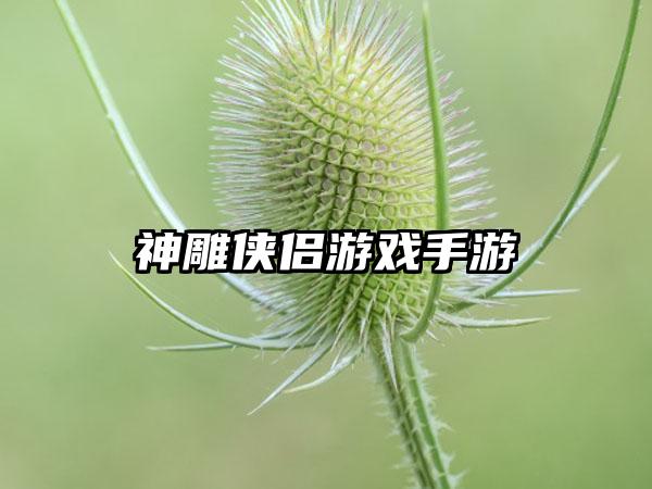 神雕侠侣游戏手游
