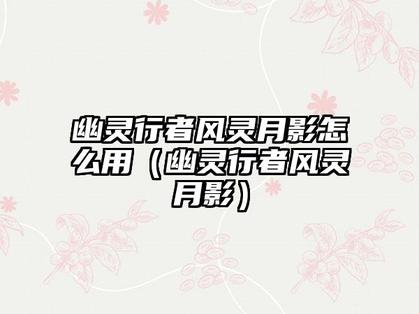 幽灵行者风灵月影怎么用（幽灵行者风灵月影）