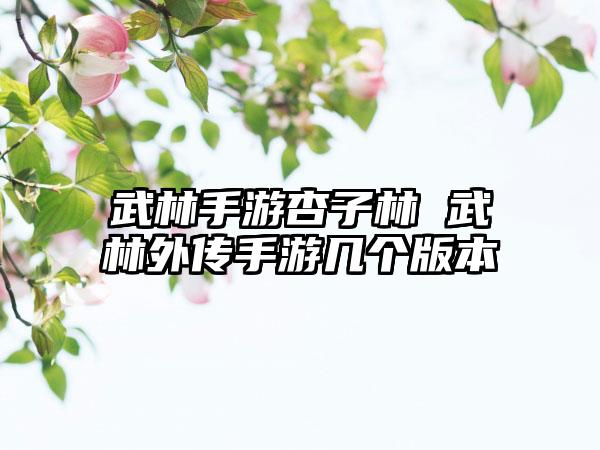 武林手游杏子林 武林外传手游几个版本