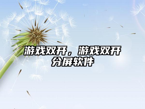 游戏双开，游戏双开分屏软件