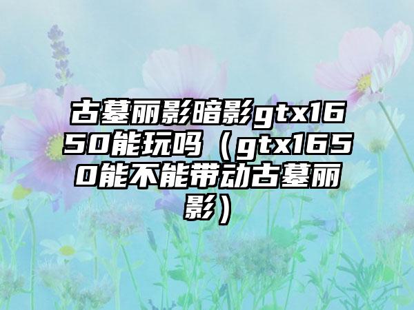 古墓丽影暗影gtx1650能玩吗（gtx1650能不能带动古墓丽影）