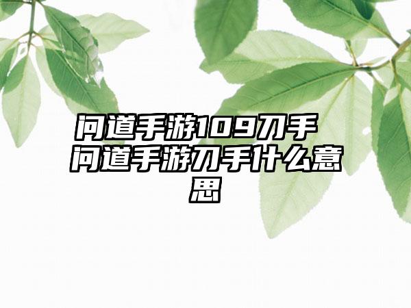 问道手游109刀手 问道手游刀手什么意思