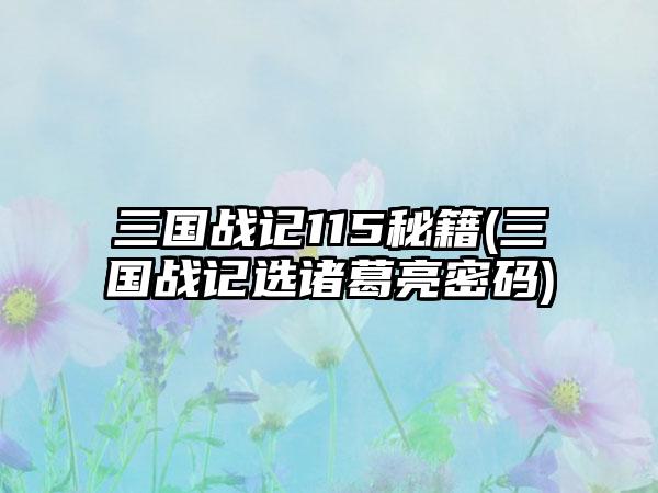 三国战记115秘籍(三国战记选诸葛亮密码)
