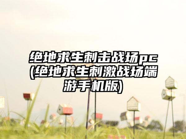 绝地求生刺击战场pc(绝地求生刺激战场端游手机版)