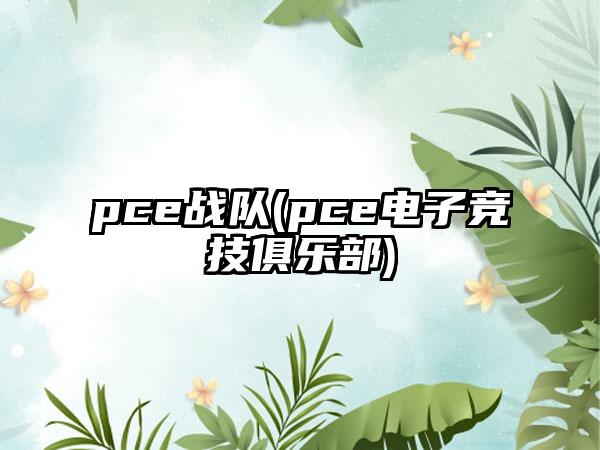 pce战队(pce电子竞技俱乐部)