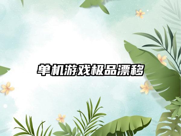 单机游戏极品漂移