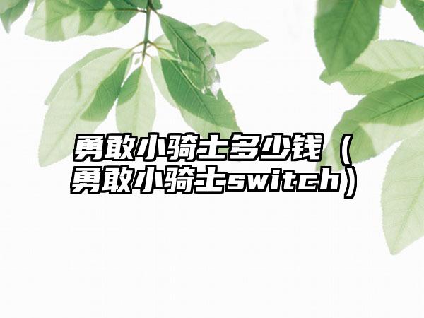 勇敢小骑士多少钱（勇敢小骑士switch）