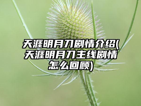 天涯明月刀剧情介绍(天涯明月刀主线剧情怎么回顾)