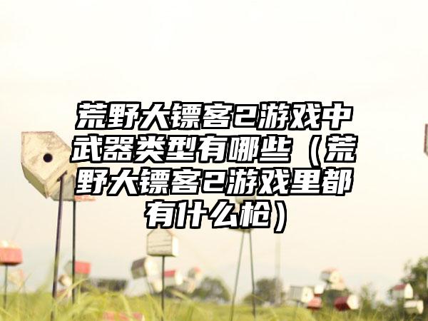 荒野大镖客2游戏中武器类型有哪些（荒野大镖客2游戏里都有什么枪）