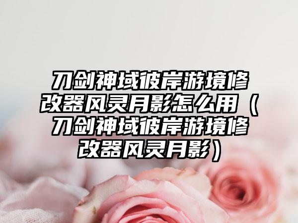 刀剑神域彼岸游境修改器风灵月影怎么用（刀剑神域彼岸游境修改器风灵月影）