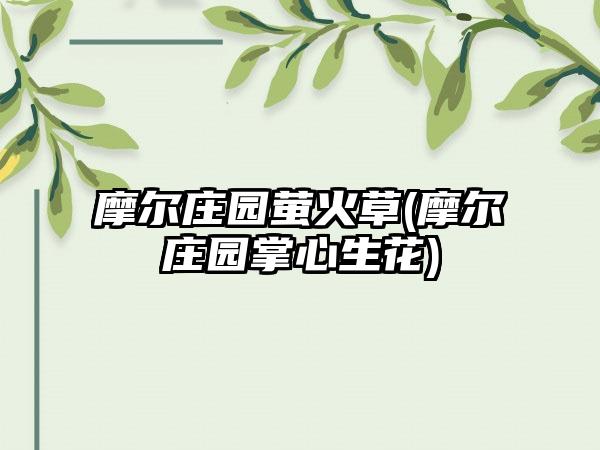 摩尔庄园萤火草(摩尔庄园掌心生花)