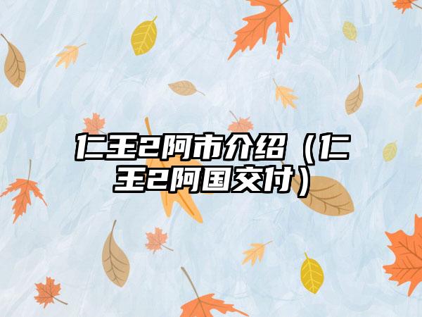 仁王2阿市介绍（仁王2阿国交付）