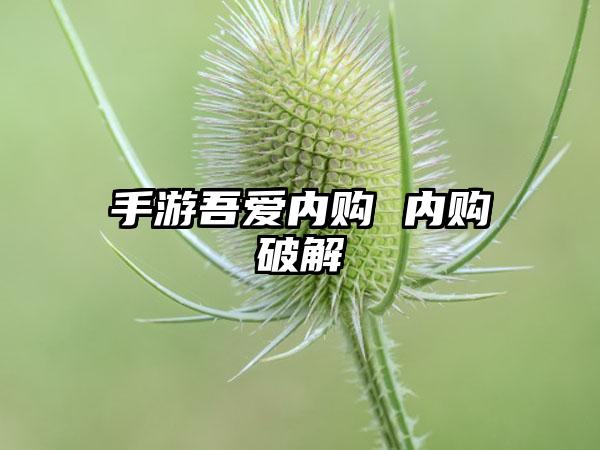 手游吾爱内购 内购破解