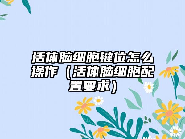 活体脑细胞键位怎么操作（活体脑细胞配置要求）
