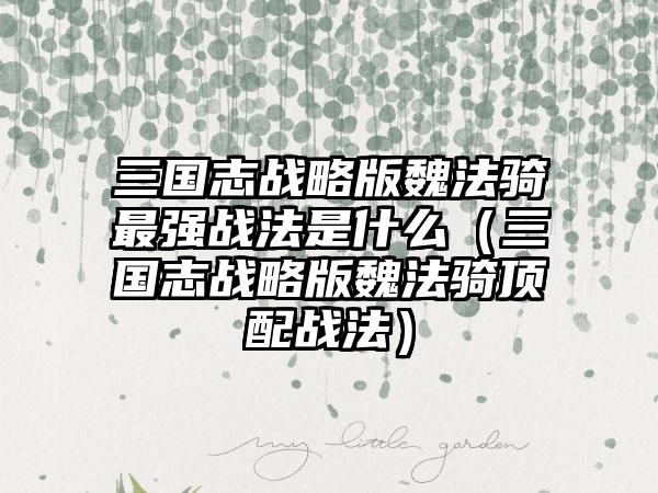 三国志战略版魏法骑最强战法是什么（三国志战略版魏法骑顶配战法）