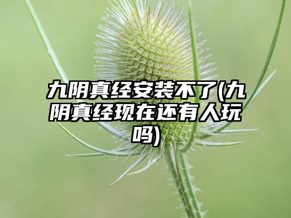 九阴真经安装不了(九阴真经现在还有人玩吗)