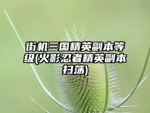 街机三国精英副本等级(火影忍者精英副本扫荡)