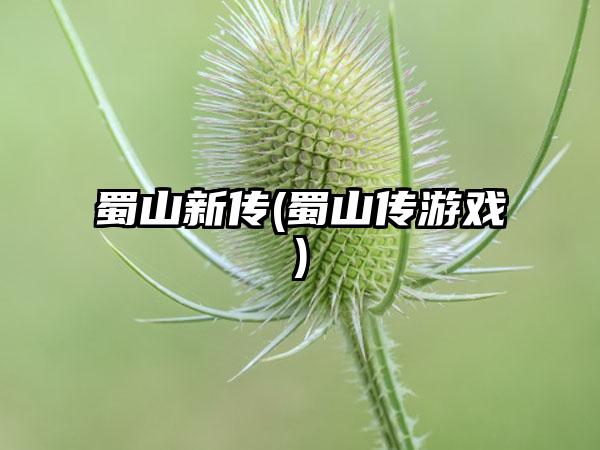 蜀山新传(蜀山传游戏)