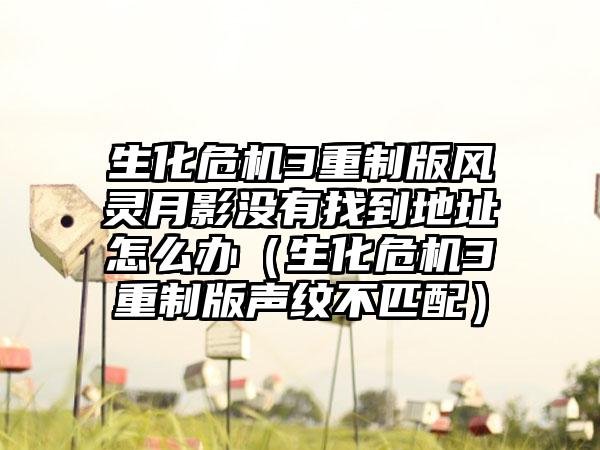 生化危机3重制版风灵月影没有找到地址怎么办（生化危机3重制版声纹不匹配）