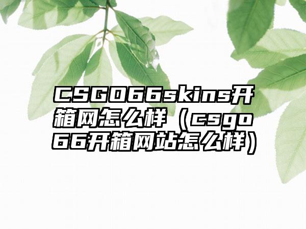 CSGO66skins开箱网怎么样（csgo66开箱网站怎么样）