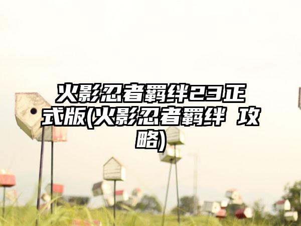 火影忍者羁绊23正式版(火影忍者羁绊Ⅱ攻略)