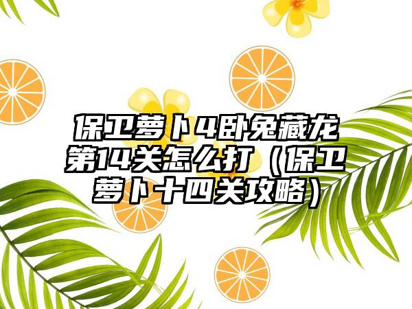 保卫萝卜4卧兔藏龙第14关怎么打（保卫萝卜十四关攻略）