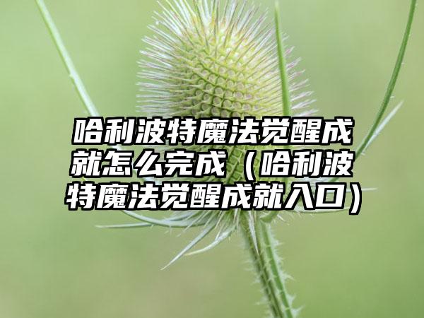哈利波特魔法觉醒成就怎么完成（哈利波特魔法觉醒成就入口）