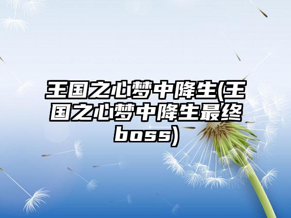 王国之心梦中降生(王国之心梦中降生最终boss)