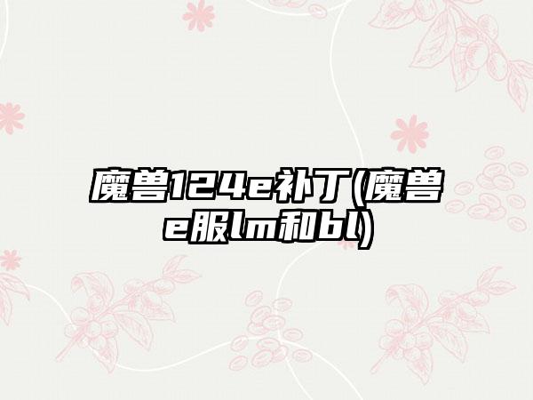 魔兽124e补丁(魔兽e服lm和bl)