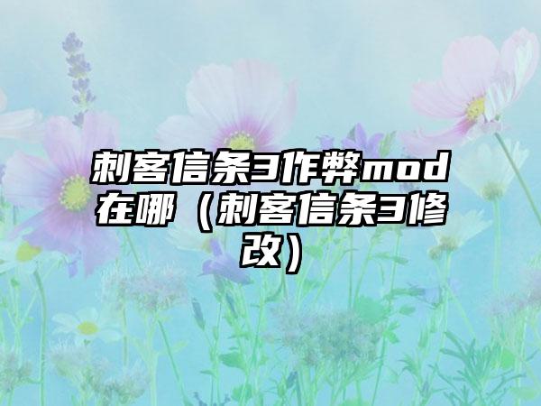 刺客信条3作弊mod在哪（刺客信条3修改）