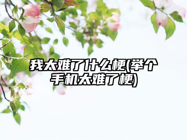 我太难了什么梗(举个手机太难了梗)